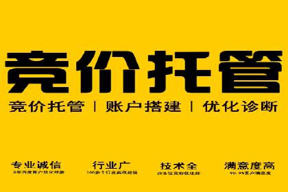 百度竞价排名：从零到一的推广策略与实践